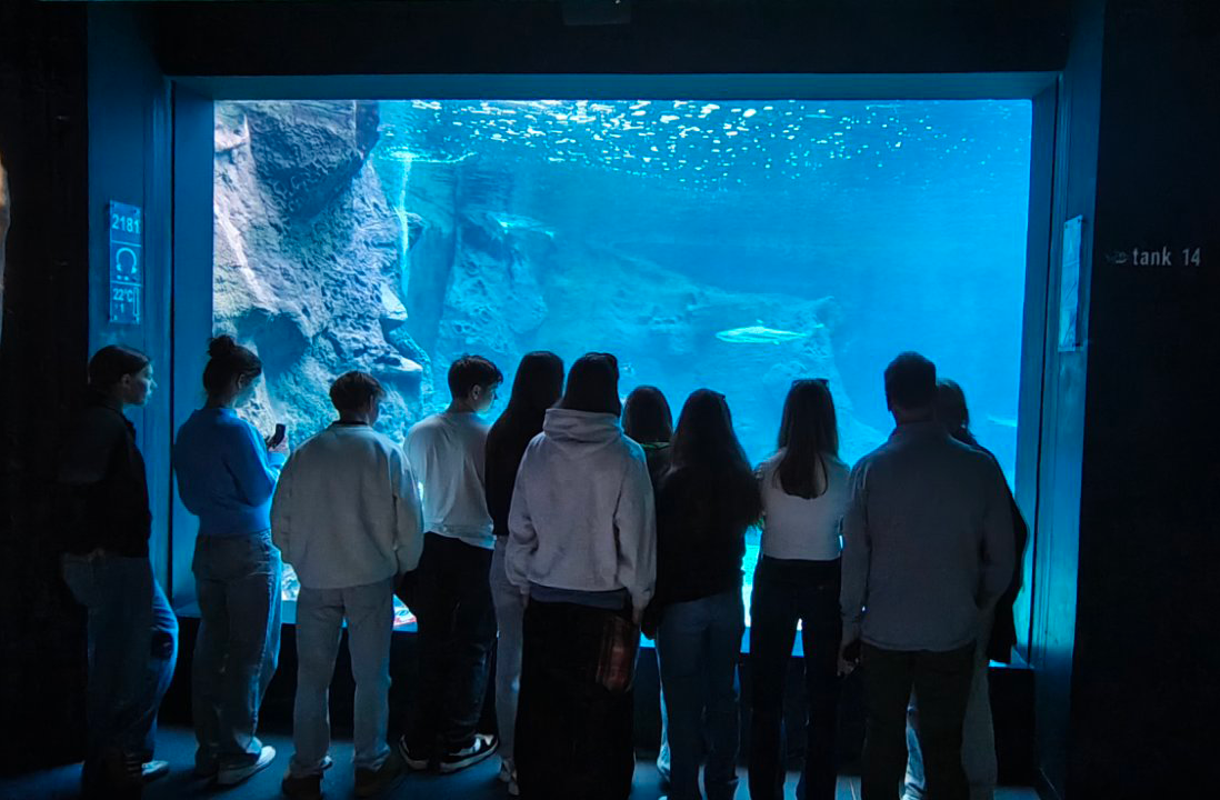 Cretanaquarium
